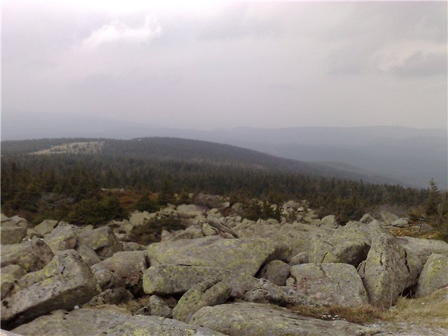 ��� ����� ����� �������� � �-��